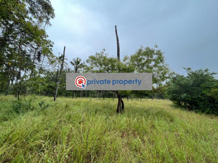 Land For Sale &nbsp;ls164 Kilifi Takaungu Junju Kilifi - 1