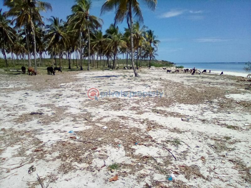 Land For Sale Kikambala Beach Kikambala Mtwapa Kilifi - 4