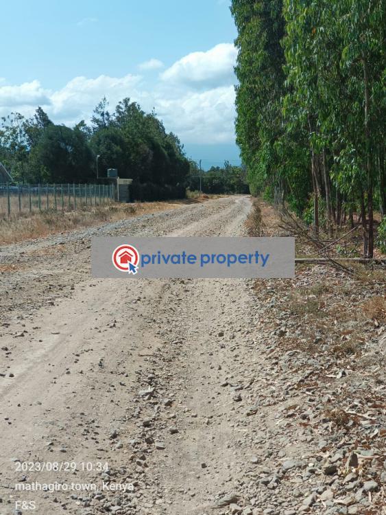 Land For Sale &nbsp;nturukuma Nanyuki Laikipia - 7