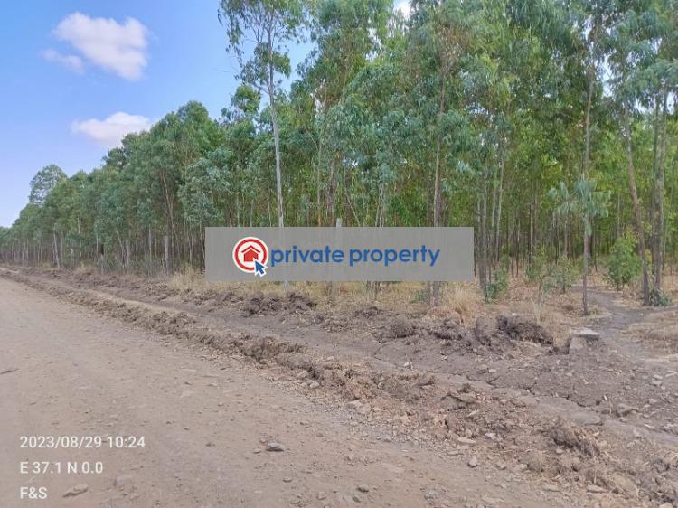 Land For Sale &nbsp;nturukuma Nanyuki Laikipia - 4