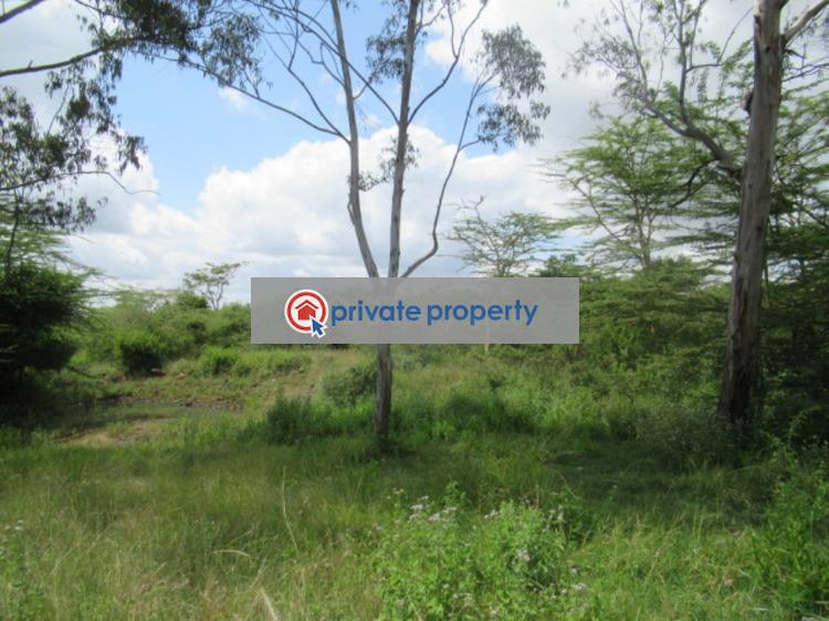 Land For Sale &nbsp;rongai Ongata Rongai Kajiado - 5