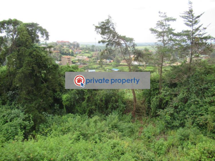 Land For Sale &nbsp;ngong Town Ngong Kajiado - 2