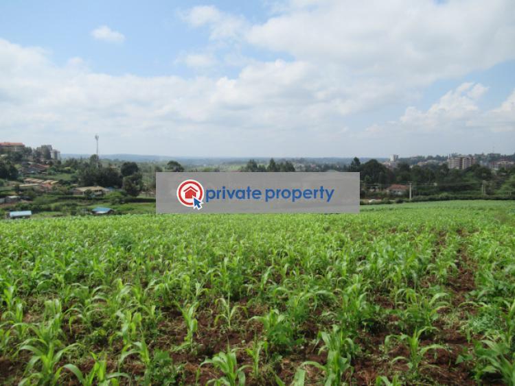 Land For Sale &nbsp;ngong Town Ngong Kajiado - 9