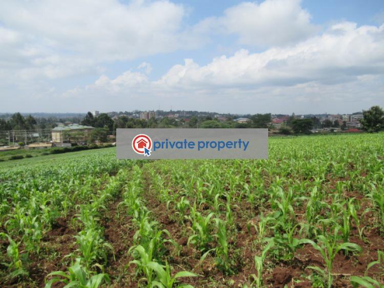 Land For Sale &nbsp;ngong Town Ngong Kajiado - 14