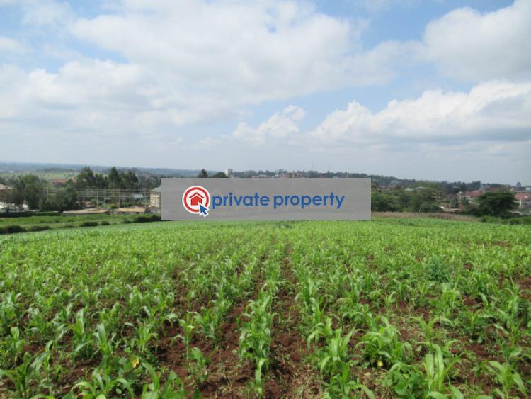 Land For Sale &nbsp;ngong Town Ngong Kajiado - 10
