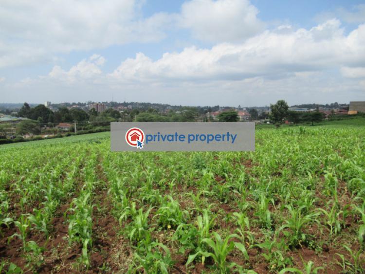 Land For Sale &nbsp;ngong Town Ngong Kajiado - 12