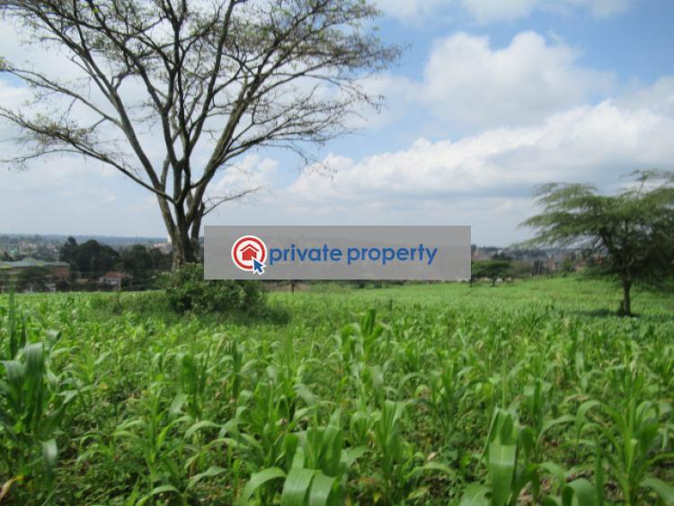 Land For Sale &nbsp;ngong Town Ngong Kajiado - 5