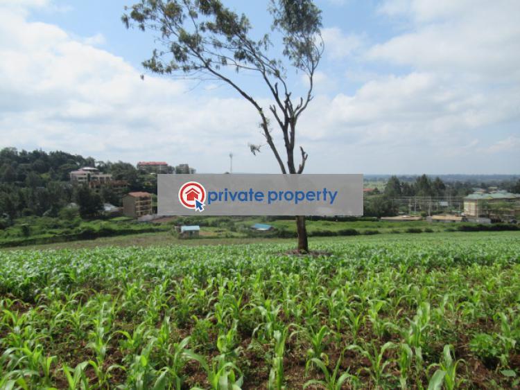 Land For Sale &nbsp;ngong Town Ngong Kajiado - 13