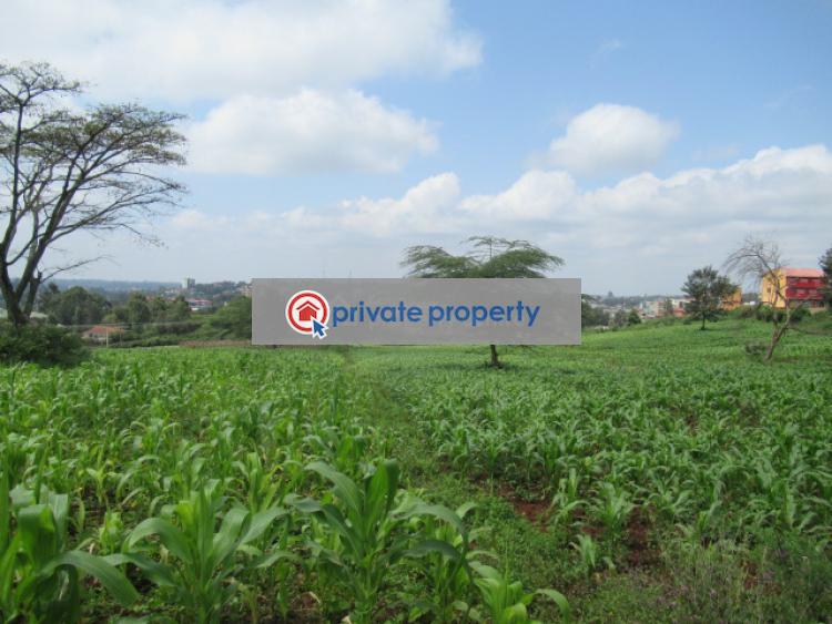 Land For Sale &nbsp;ngong Town Ngong Kajiado - 1