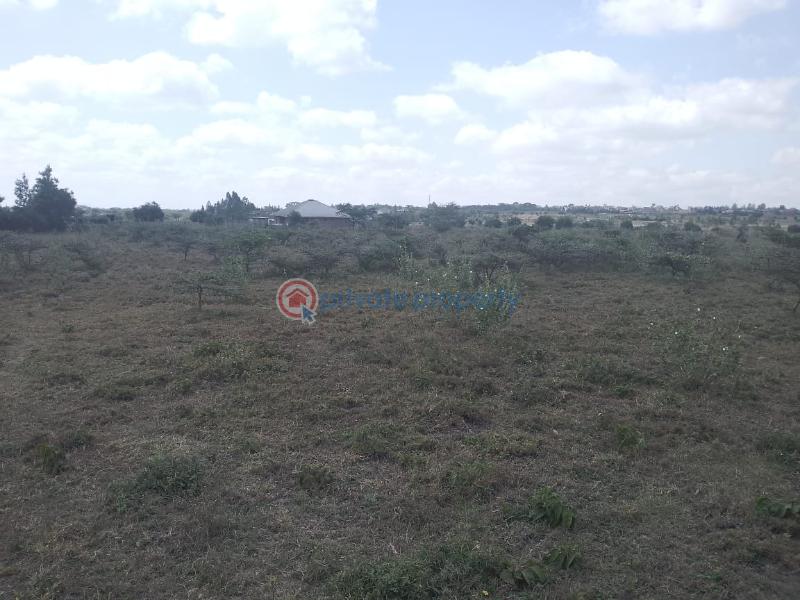 Land For Sale Off Namanga Road Kaputiei North Kajiado - 2