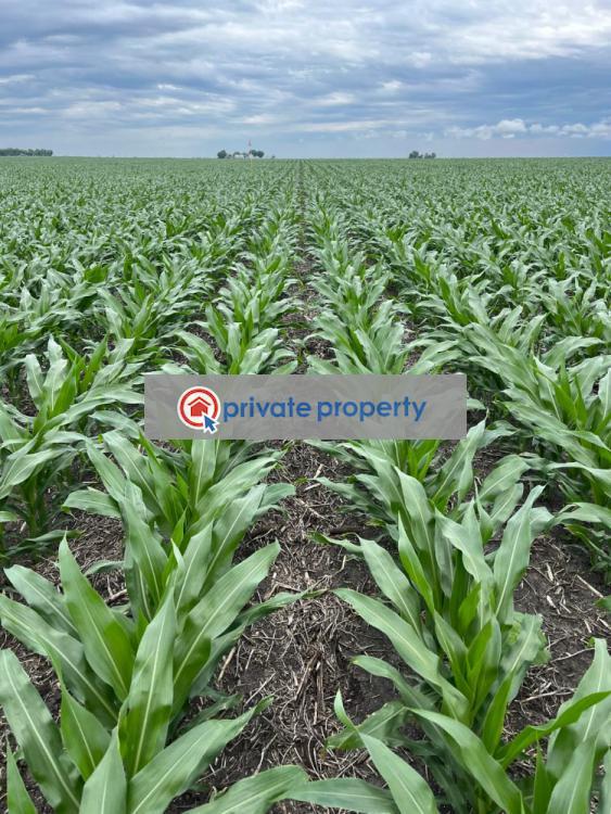 Mixed use Land For Sale &nbsp;56 Eor Ekule Narok Town  - 2