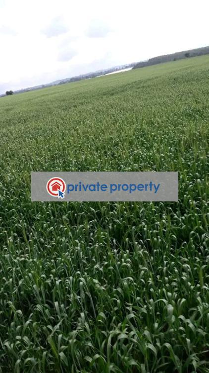 Mixed use Land For Sale &nbsp;56 Eor Ekule Narok Town  - 3