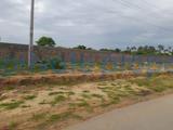 Land For Sale Kikambala Mtwapa Kilifi - 8