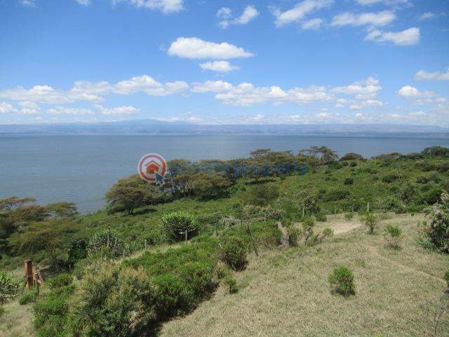 Land For Sale Moi North Lake Rd Naiavsha Naivasha East Nakuru - 6
