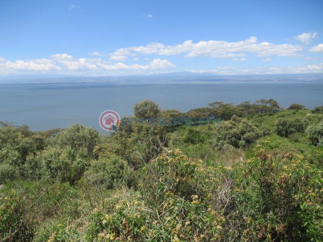 Land For Sale Moi North Lake Rd Naiavsha Naivasha East Nakuru - 1