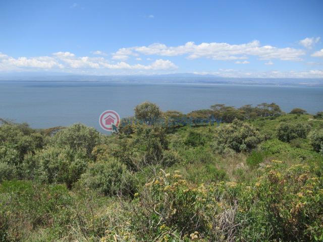 Land For Sale Moi North Lake Rd Naiavsha Naivasha East Nakuru - 3