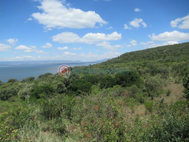 Land For Sale Moi North Lake Rd Naiavsha Naivasha East Nakuru - 2