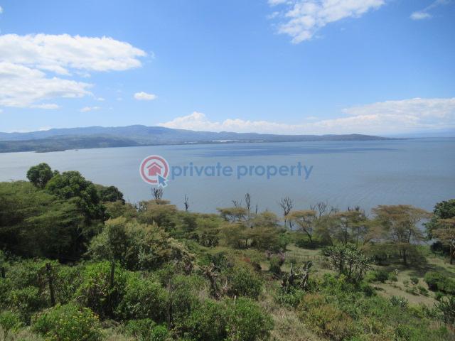Land For Sale Moi North Lake Rd Naiavsha Naivasha East Nakuru - 4