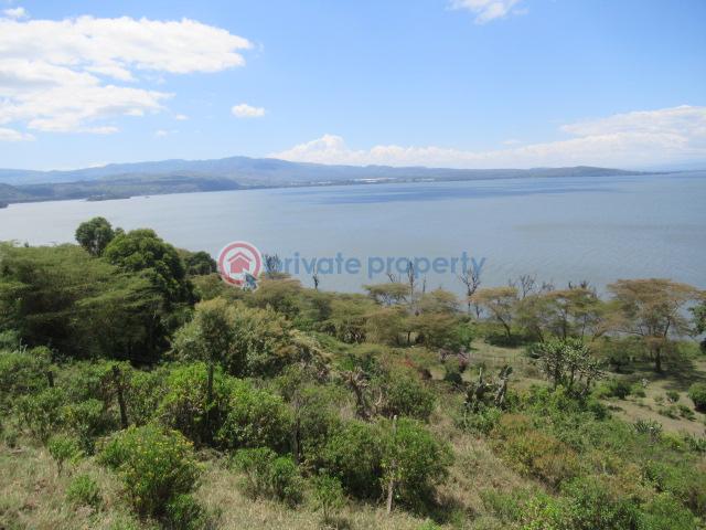 Land For Sale Moi North Lake Rd Naiavsha Naivasha East Nakuru - 7