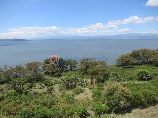 Land For Sale Moi North Lake Rd Naiavsha Naivasha East Nakuru - 5