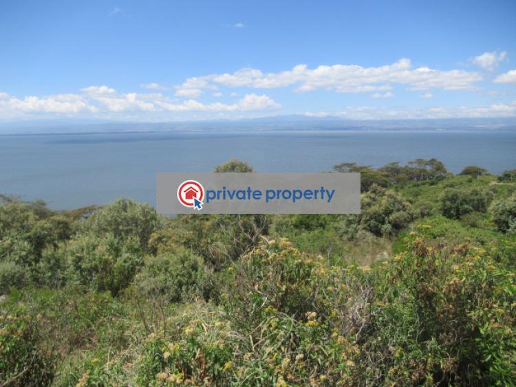 Land For Sale &nbsp;moi North Lake Rd Naivasha East Nakuru - 4
