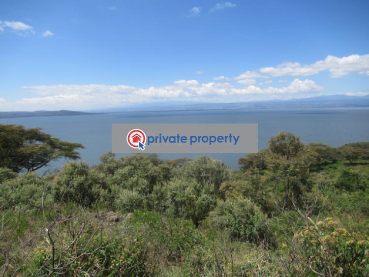Land For Sale &nbsp;moi North Lake Rd Naivasha East Nakuru - 8