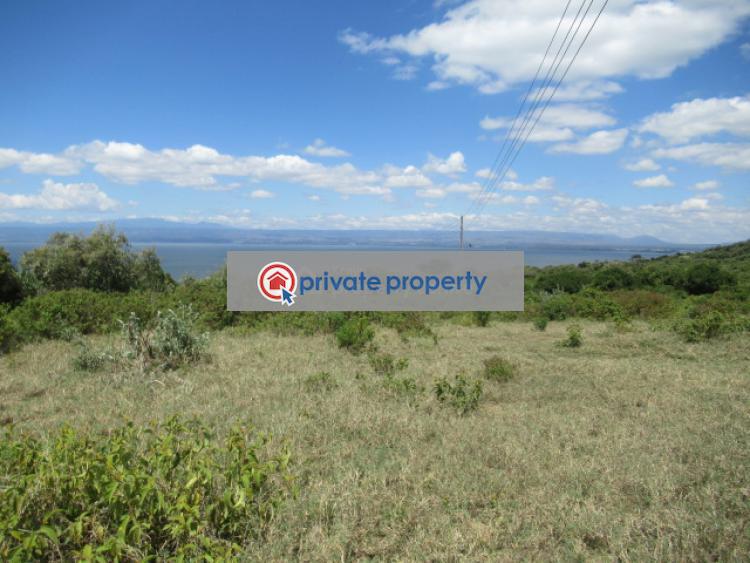 Land For Sale &nbsp;moi North Lake Rd Naivasha East Nakuru - 11
