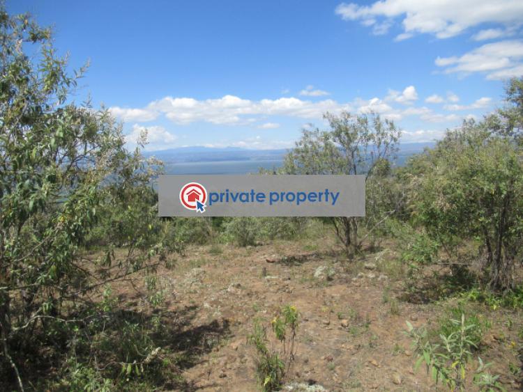 Land For Sale &nbsp;moi North Lake Rd Naivasha East Nakuru - 10
