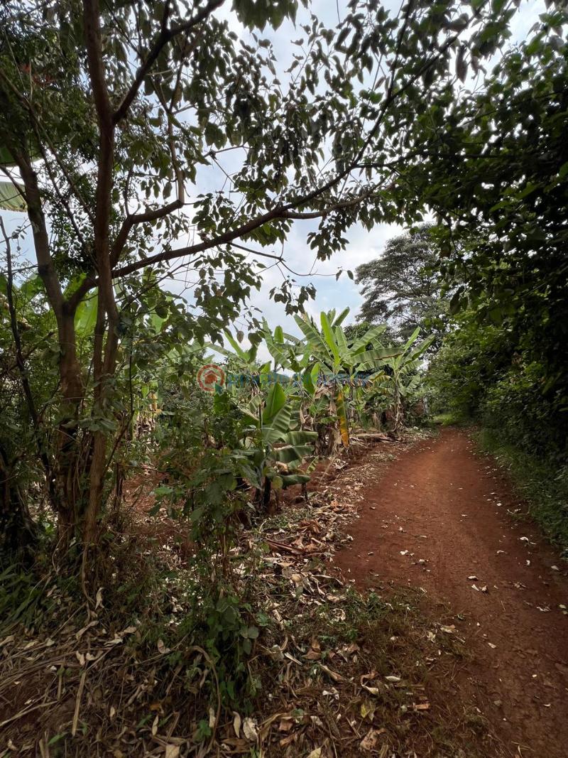 Land For Sale Kibichoi Githunguri Kiambu - 2