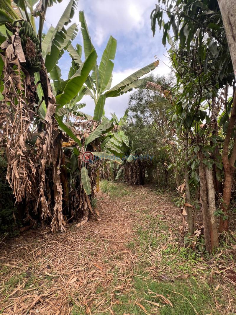 Land For Sale Kibichoi Githunguri Kiambu - 0