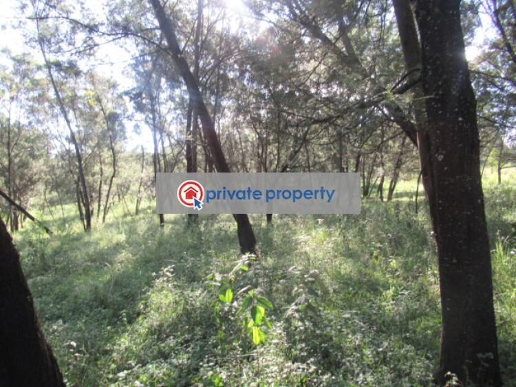 Land For Sale &nbsp;off Gilgil Nyahururu Rd Karau Nyandarua - 8