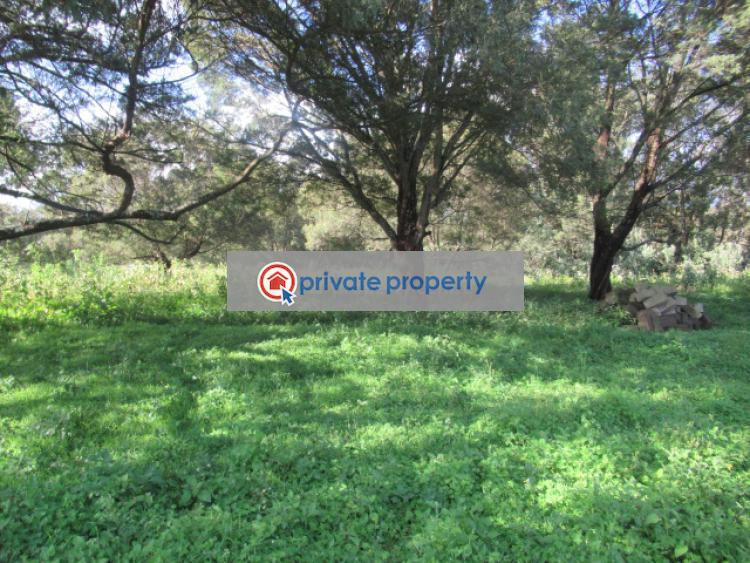 Land For Sale &nbsp;off Gilgil Nyahururu Rd Karau Nyandarua - 4