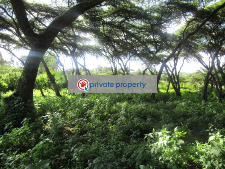 Land For Sale &nbsp;off Gilgil Nyahururu Rd Karau Nyandarua - 3