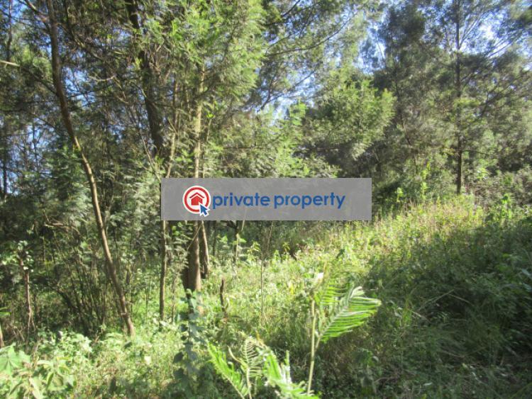 Land For Sale &nbsp;off Gilgil Nyahururu Rd Karau Nyandarua - 5
