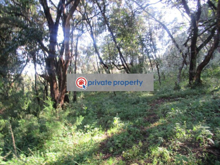 Land For Sale &nbsp;off Gilgil Nyahururu Rd Karau Nyandarua - 10