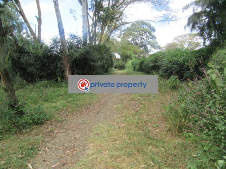 Land For Sale &nbsp;moi South Lake Rd Naivasha East Nakuru - 9