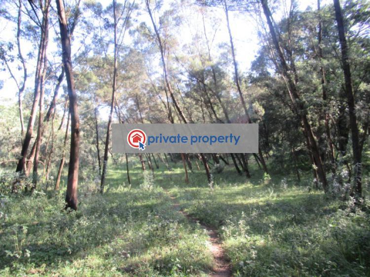 Land For Sale &nbsp;off Gilgil Nyahururu Rd Karau Nyandarua - 14