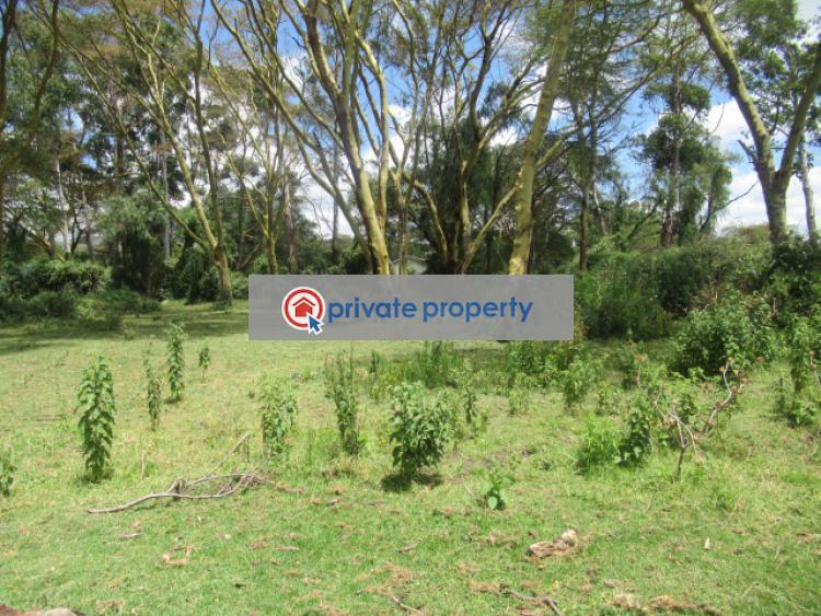 Land For Sale &nbsp;moi South Lake Rd Naivasha East Nakuru - 2