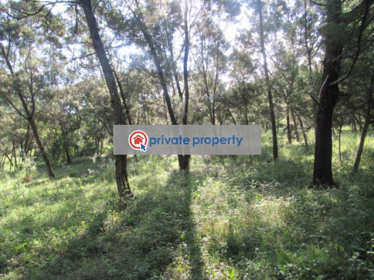 Land For Sale &nbsp;off Gilgil Nyahururu Rd Karau Nyandarua - 7