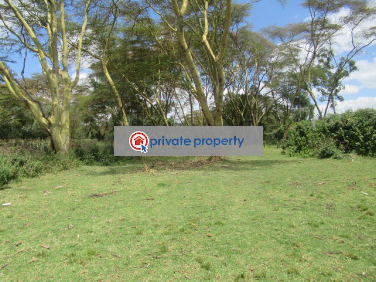 Land For Sale &nbsp;moi South Lake Rd Naivasha East Nakuru - 6