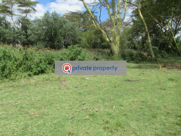 Land For Sale &nbsp;moi South Lake Rd Naivasha East Nakuru - 7