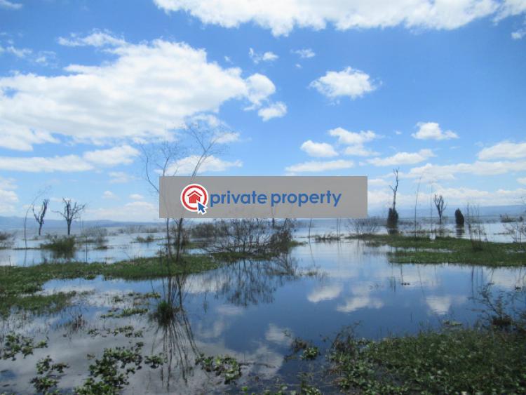 Land For Sale &nbsp;moi South Lake Rd Naivasha East Nakuru - 3