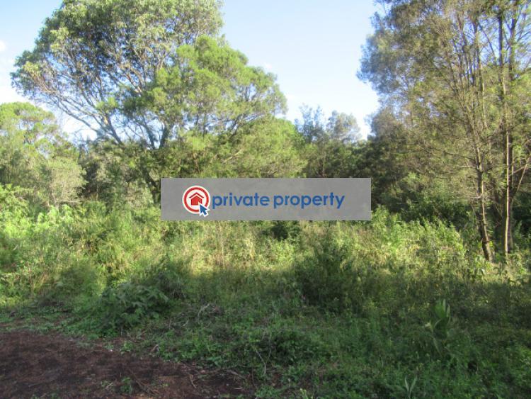 Land For Sale &nbsp;off Gilgil Nyahururu Rd Karau Nyandarua - 13