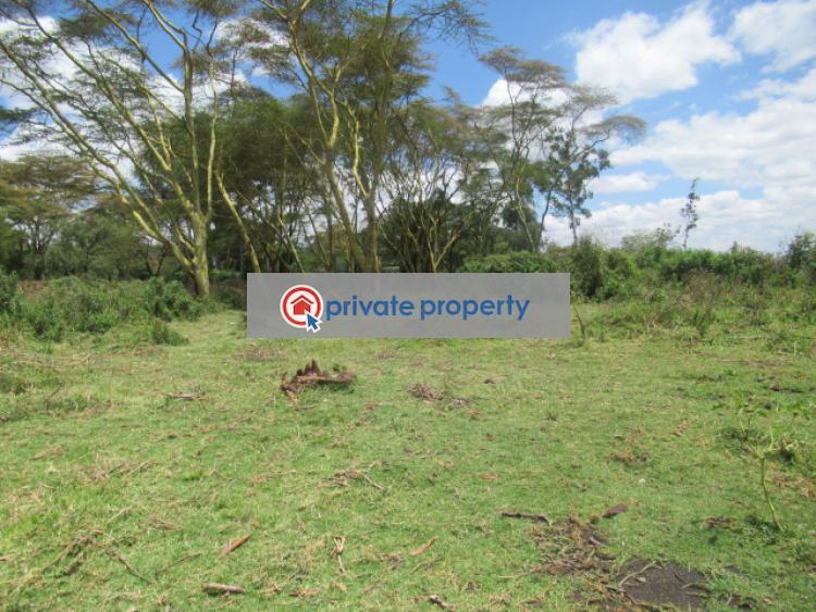 Land For Sale &nbsp;moi South Lake Rd Naivasha East Nakuru - 5