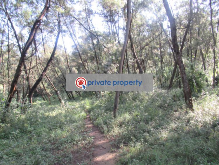 Land For Sale &nbsp;off Gilgil Nyahururu Rd Karau Nyandarua - 9