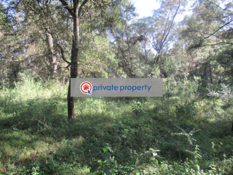 Land For Sale &nbsp;off Gilgil Nyahururu Rd Karau Nyandarua - 6