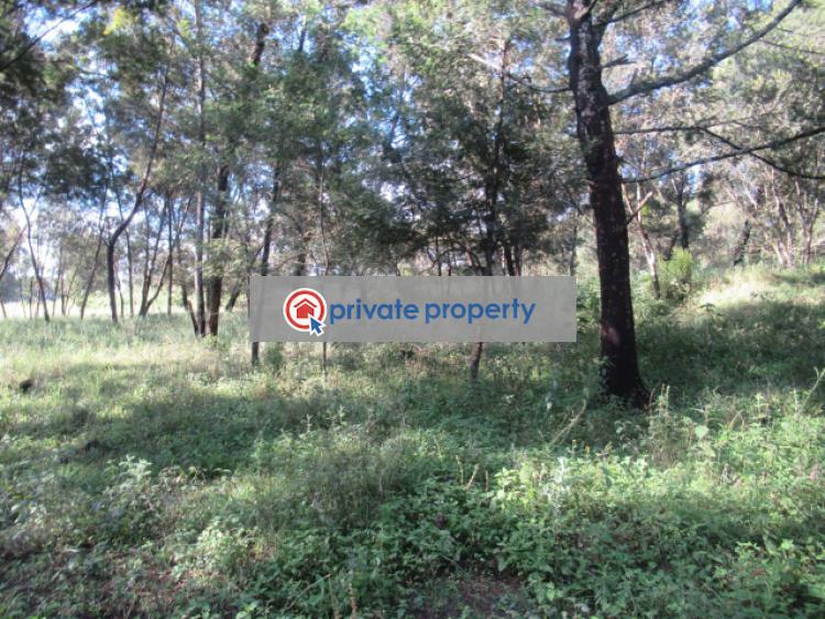 Land For Sale &nbsp;off Gilgil Nyahururu Rd Karau Nyandarua - 12