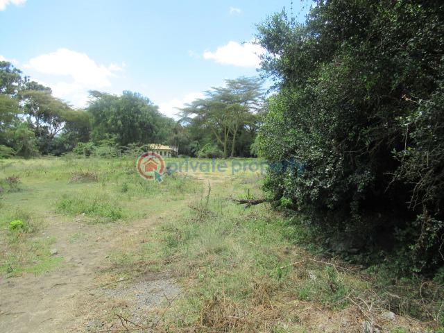Land For Sale Lake Naivasha moi South Lake Road Naivasha East Nakuru - 3