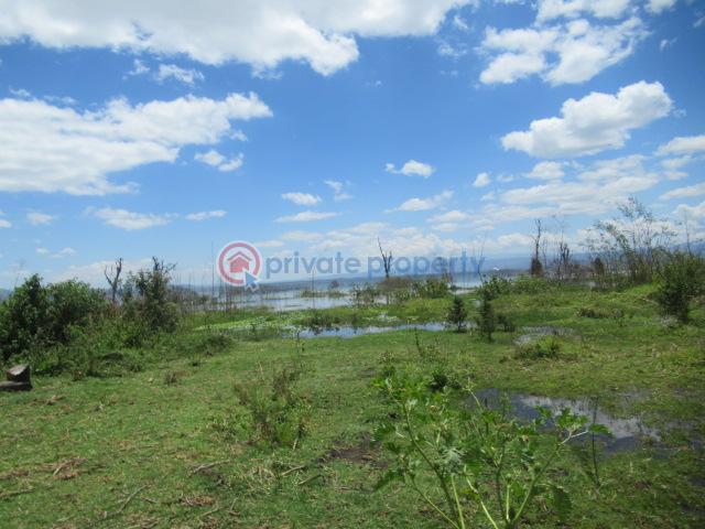 Land For Sale Lake Naivasha moi South Lake Road Naivasha East Nakuru - 9