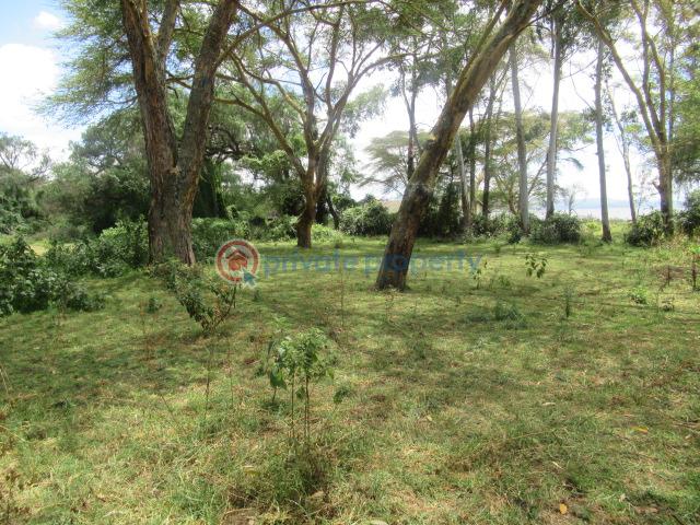 Land For Sale Lake Naivasha moi South Lake Road Naivasha East Nakuru - 12